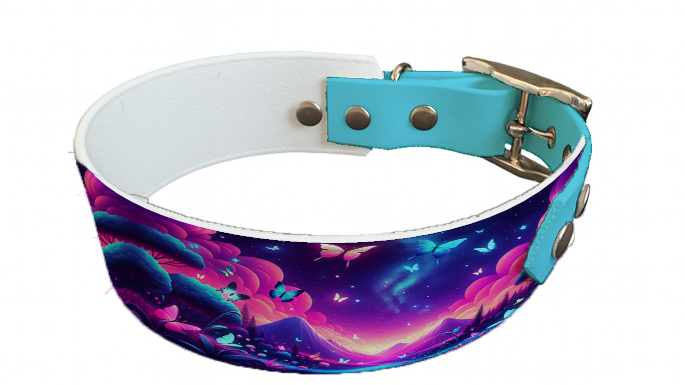 Collier bicolore large pour chien en BioThane® imprimé – Collection insectes– 38/25 mm