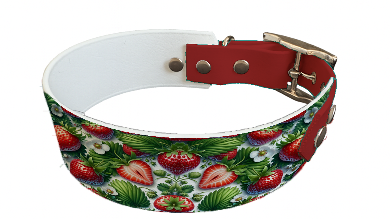 Collier bicolore large pour chien en BioThane® imprimé – Collection gourmandise – 38/25 mm