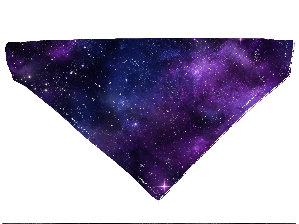 Bandana pour chien Galaxie – 4 tailles (S, M, L, XL) – Collier inclus & compatible BioThane