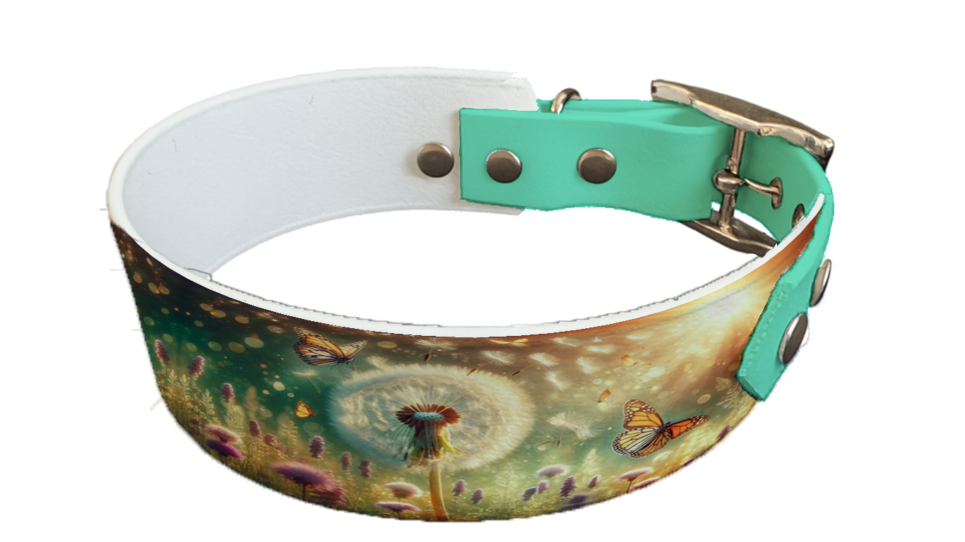 Collier bicolore large pour chien en BioThane® imprimé – Collection plantes et fleurs – 38/25 mm