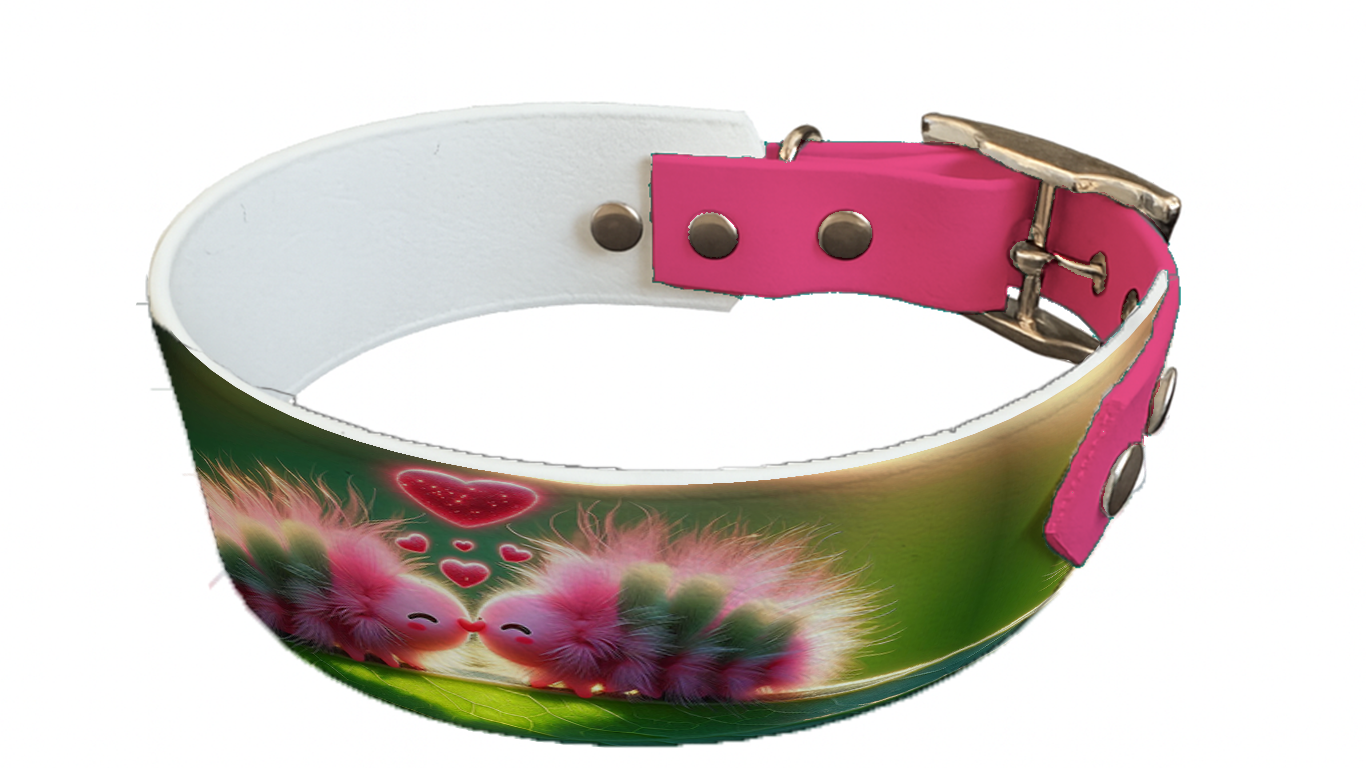 Collier bicolore large pour chien en BioThane® imprimé – Collection insectes– 38/25 mm