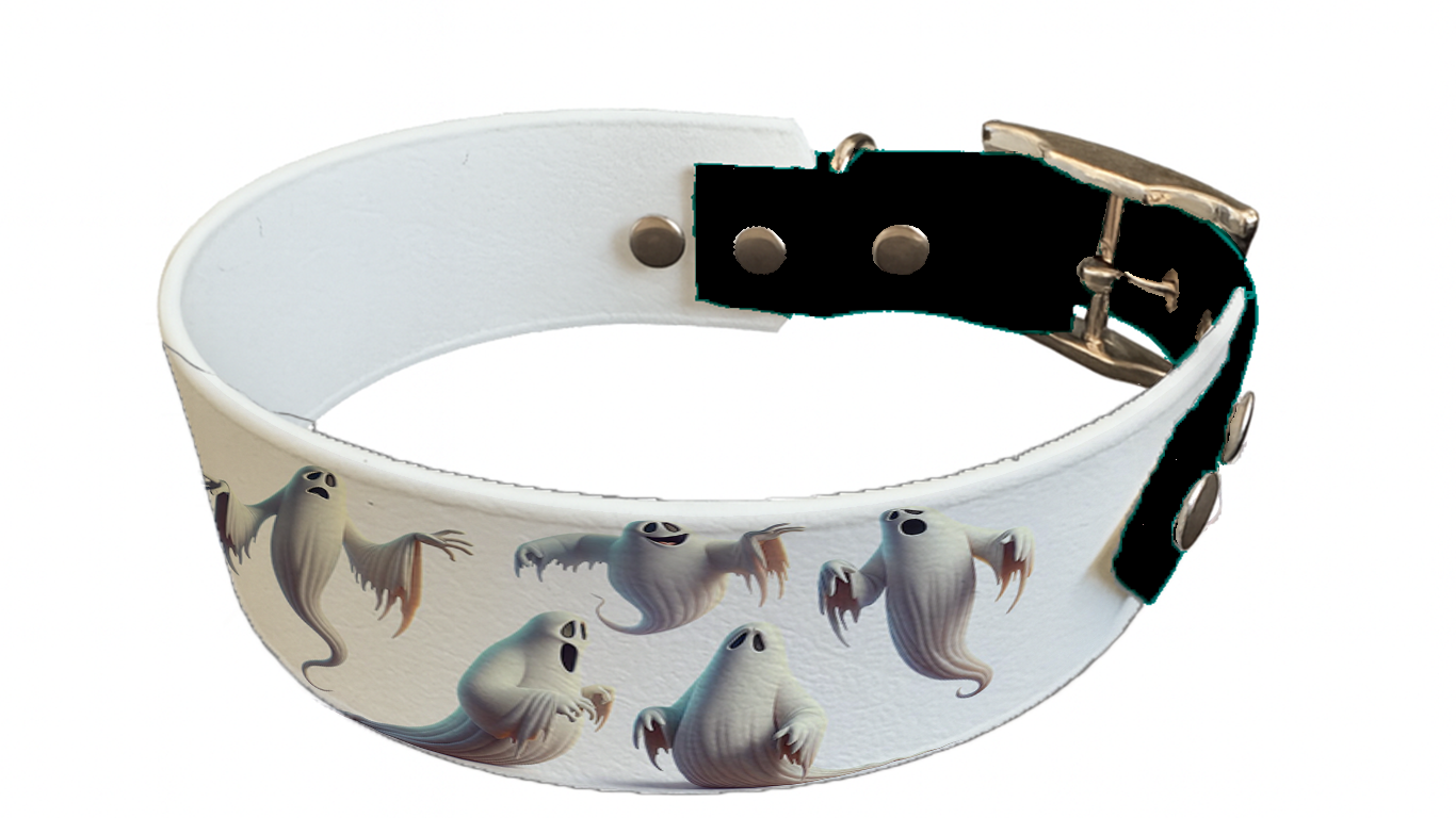 Collier bicolore large pour chien en BioThane® imprimé – Collection Halloween– 38/25 mm
