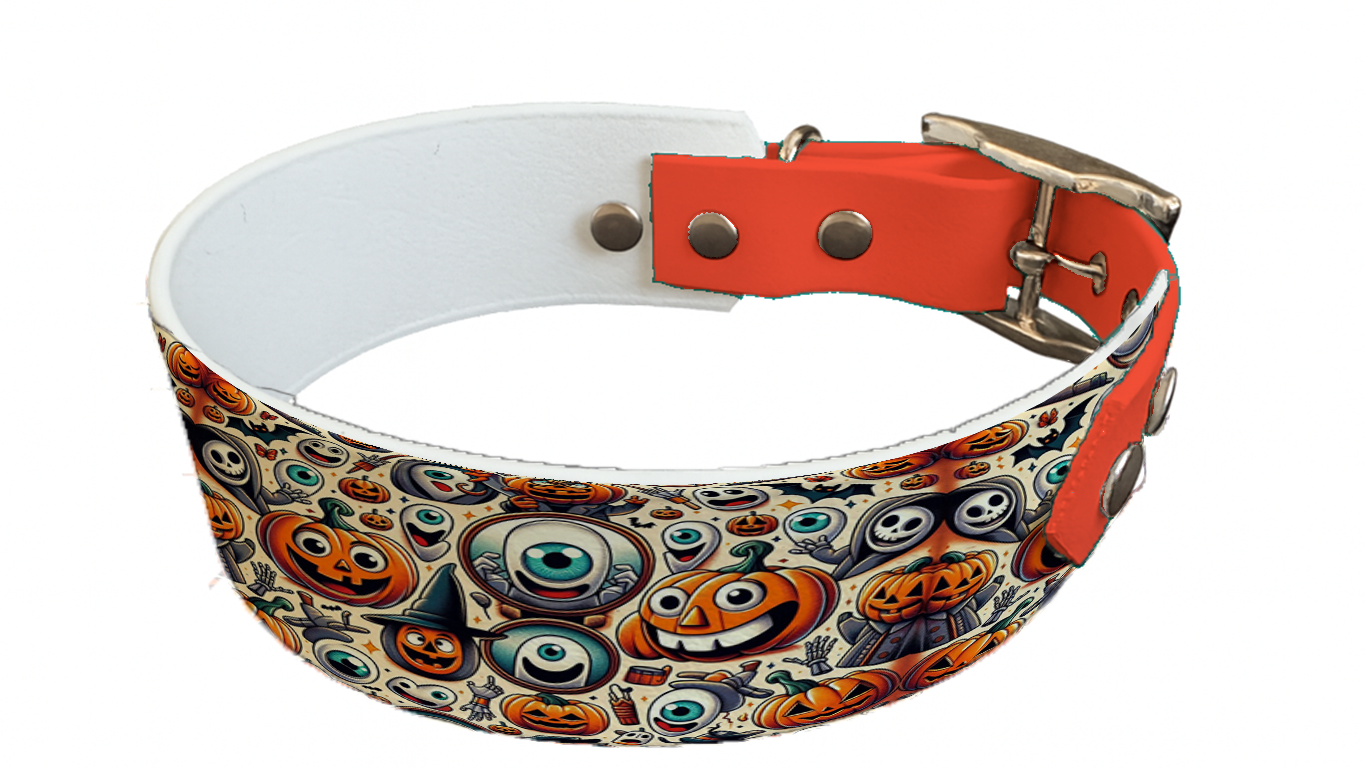 Collier bicolore large pour chien en BioThane® imprimé – Collection Halloween– 38/25 mm