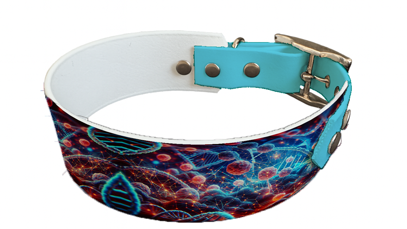 Collier bicolore large pour chien en BioThane® imprimé – Collection abstrait – 38/25 mm