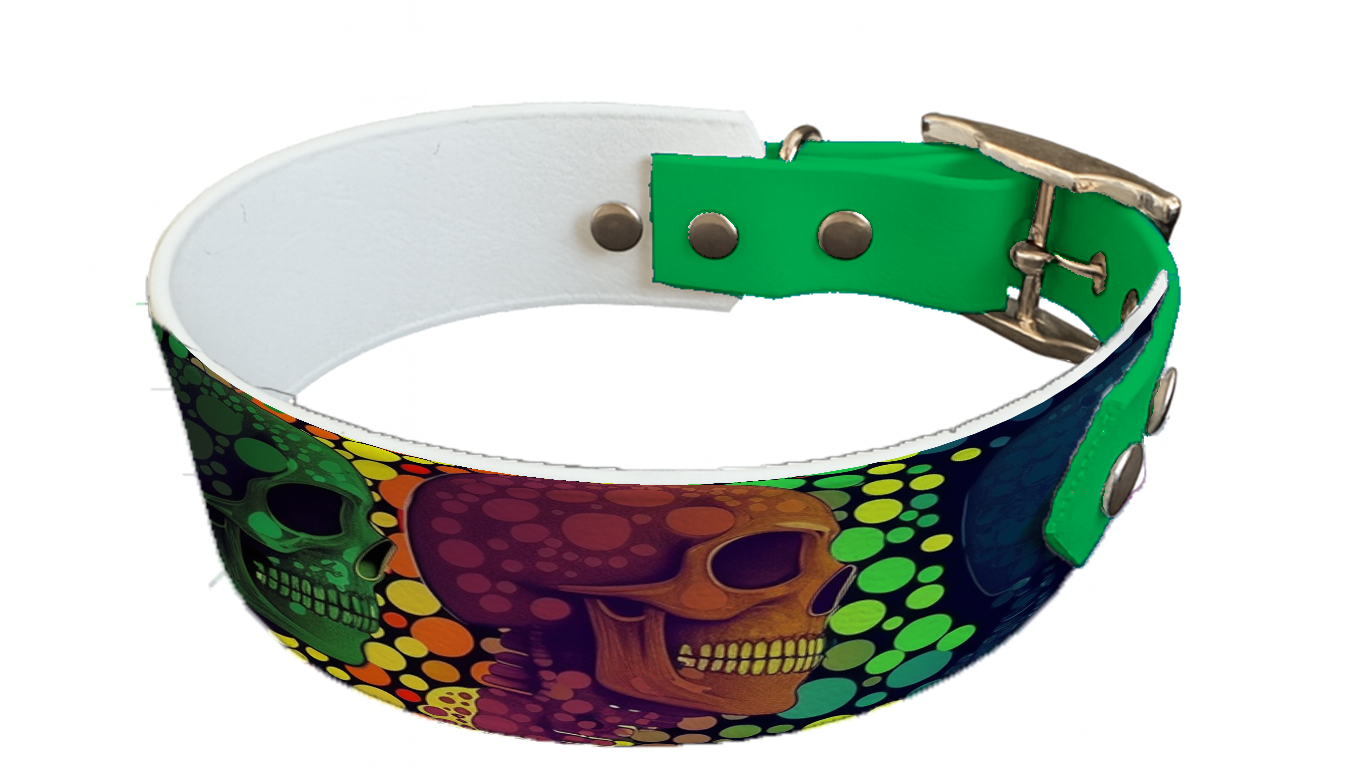 Collier bicolore large pour chien en BioThane® imprimé – Collection tête de mort– 38/25 mm