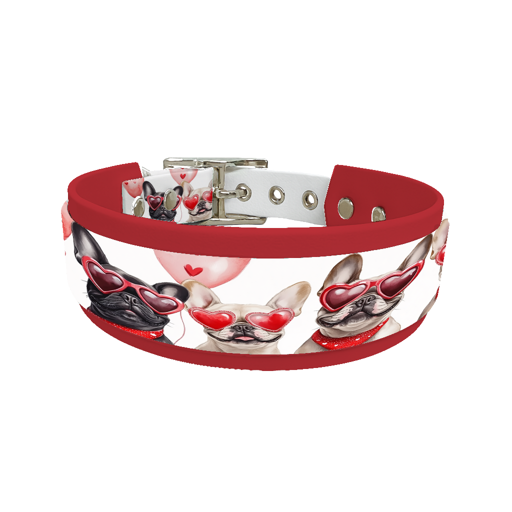 Collier double large pour chien en BioThane® imprimé – Collection chiens– 38/25 mm