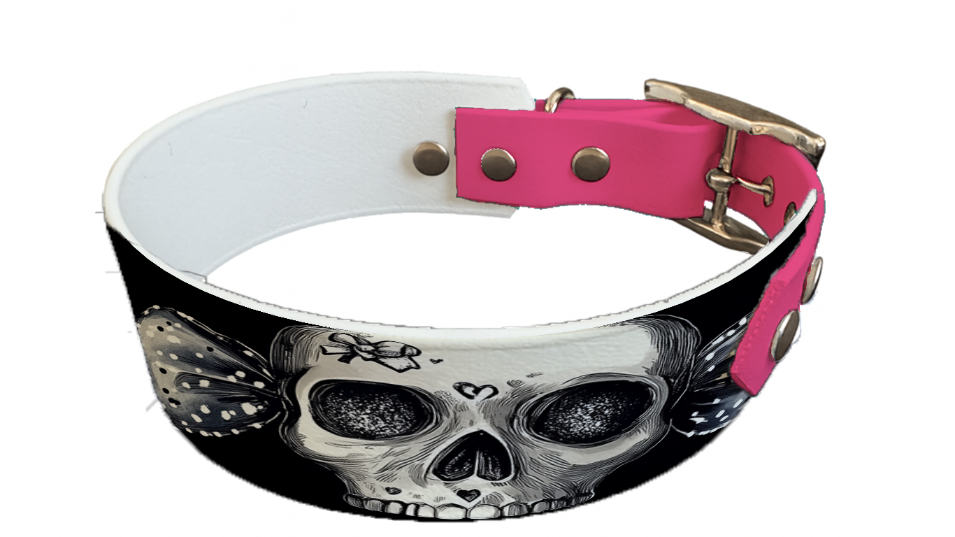 Collier bicolore large pour chien en BioThane® imprimé – Collection tête de mort– 38/25 mm
