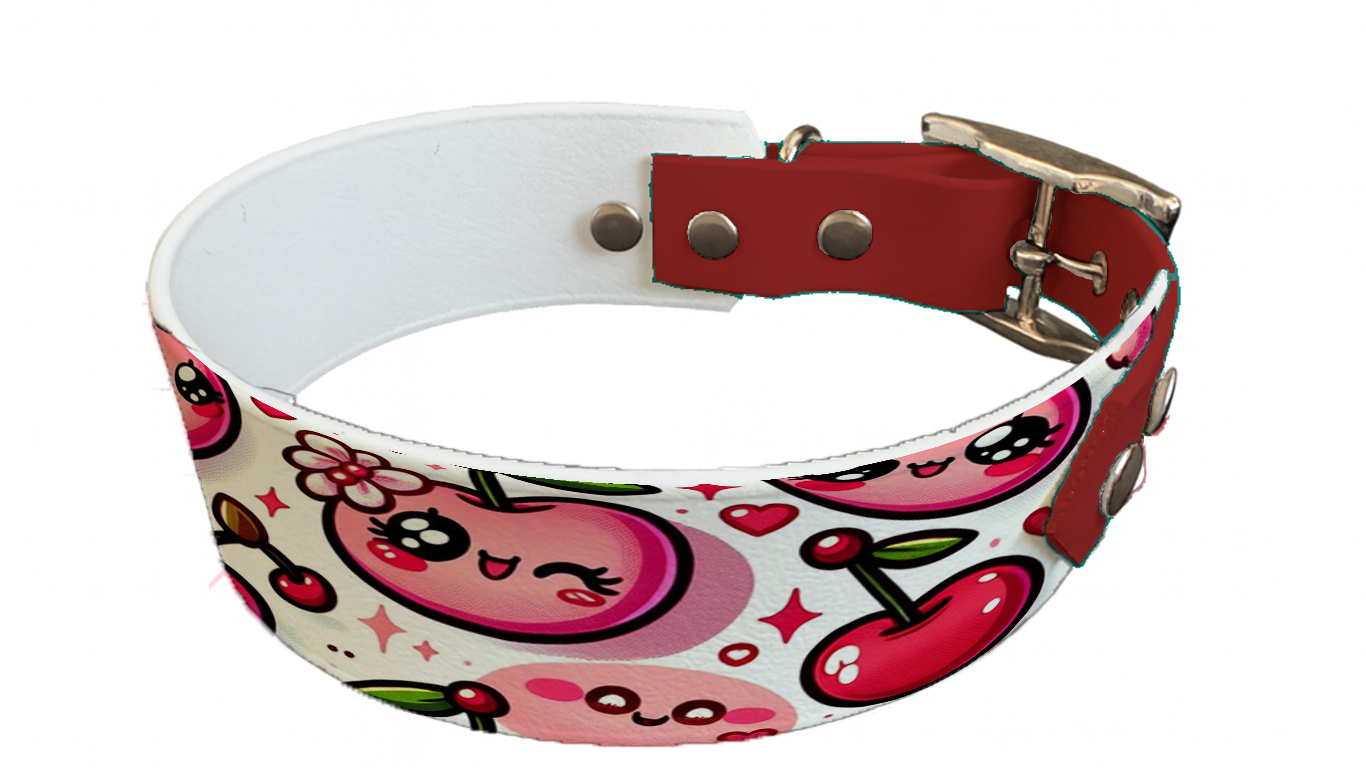 Collier bicolore large pour chien en BioThane® imprimé – Collection gourmandise – 38/25 mm