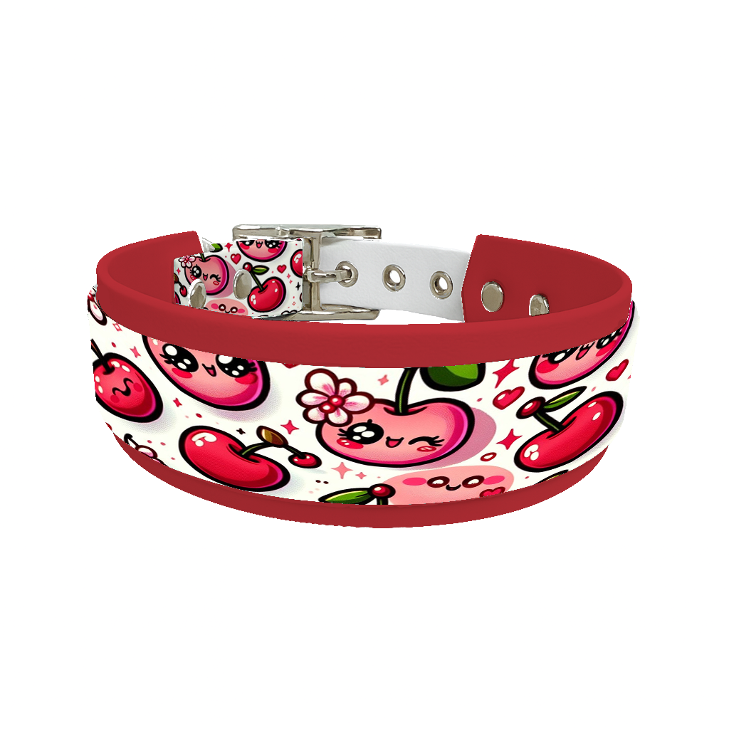 Collier double large pour chien en BioThane® imprimé – Collection gourmandise – 25/19mm