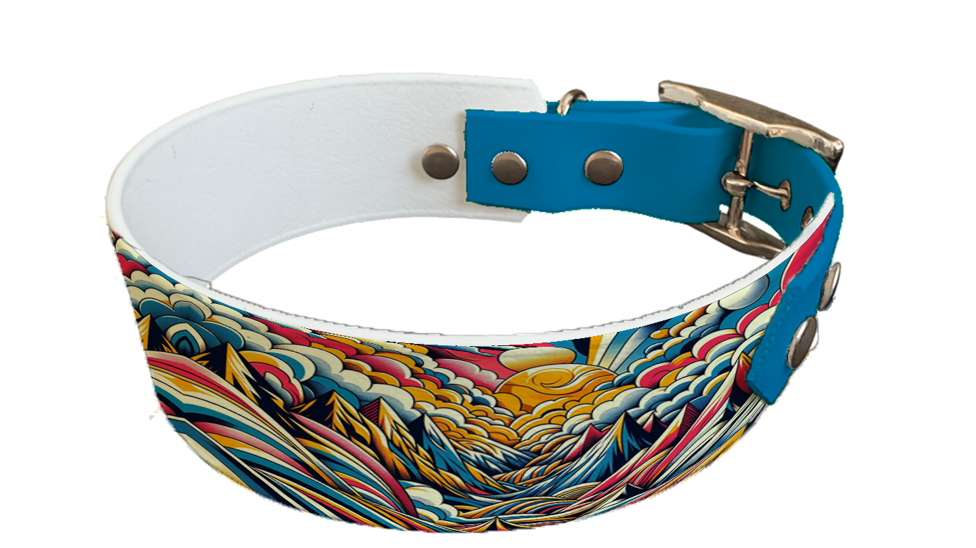 Collier bicolore large pour chien en BioThane® imprimé – Collection abstrait – 38/25 mm