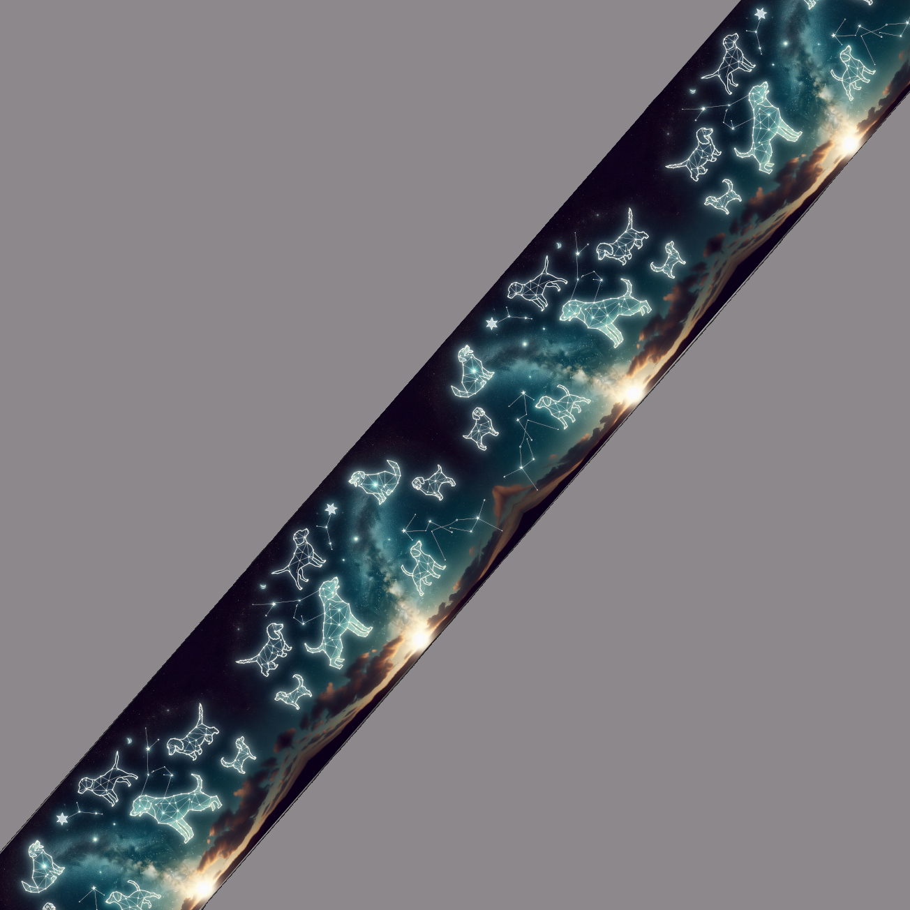 BioThane imprimé - Chiens Constellations Galactiques