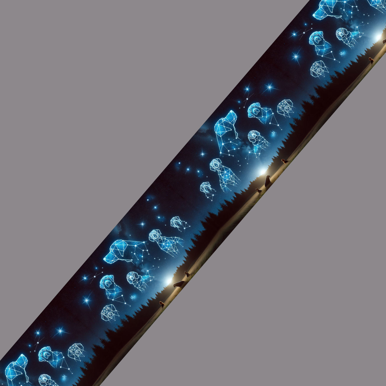 BioThane® imprimé - Chiens Constellations