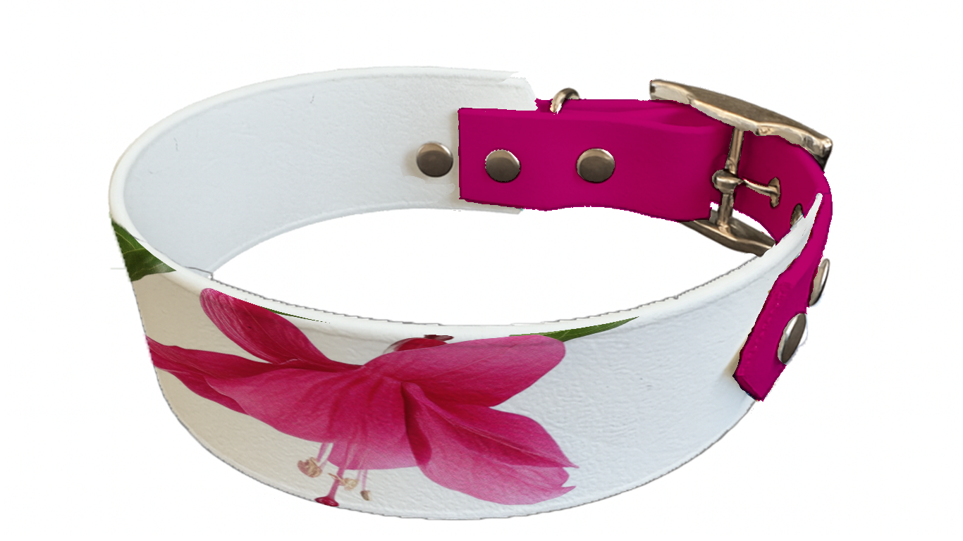 Collier bicolore large pour chien en BioThane® imprimé – Collection plantes et fleurs – 38/25 mm