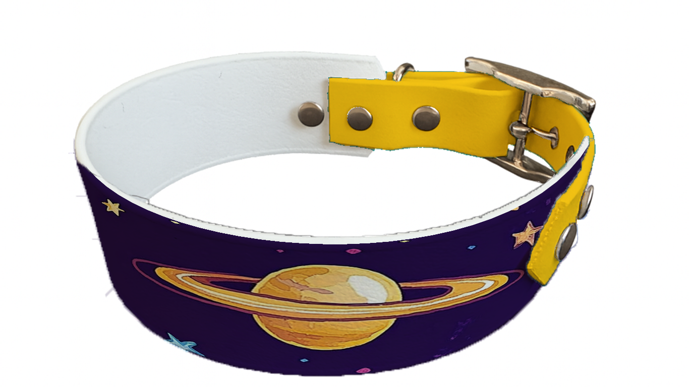 Collier bicolore large pour chien en BioThane® imprimé – Collection galaxie – 38/25 mm