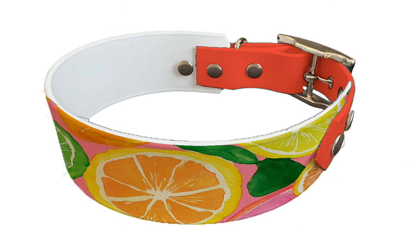 Collier bicolore large pour chien en BioThane® imprimé – Collection gourmandise – 38/25 mm