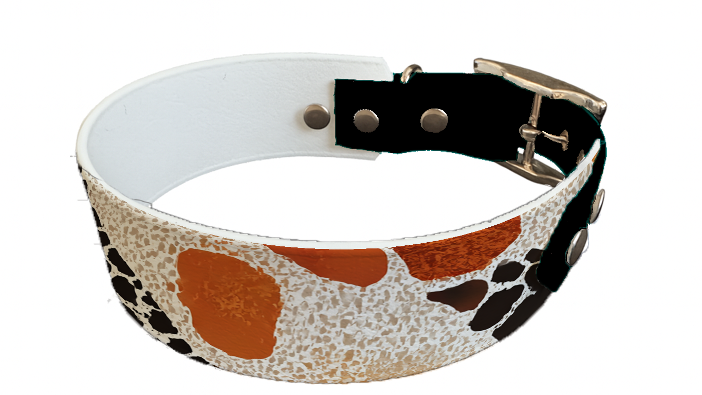 Collier bicolore large pour chien en BioThane® imprimé – Collection abstrait – 38/25 mm