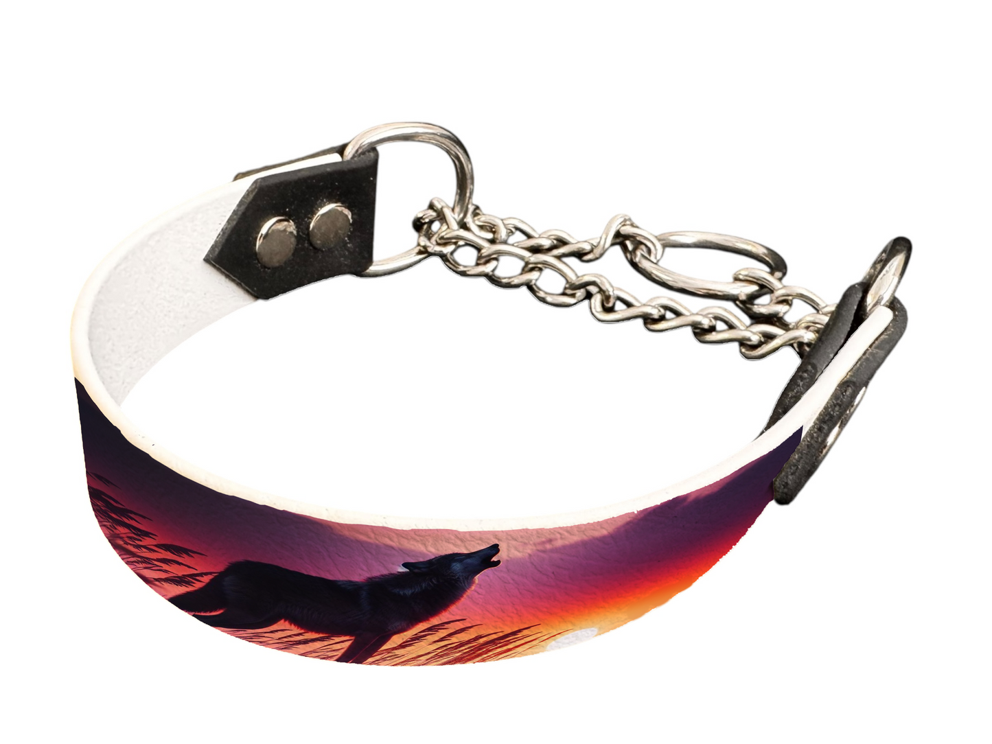 Martingale pour chien en BioThane® imprimé – Collection chiens– 25mm