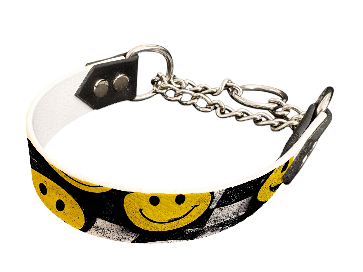 Martingale pour chien en BioThane® imprimé – Collection pop art– 25mm