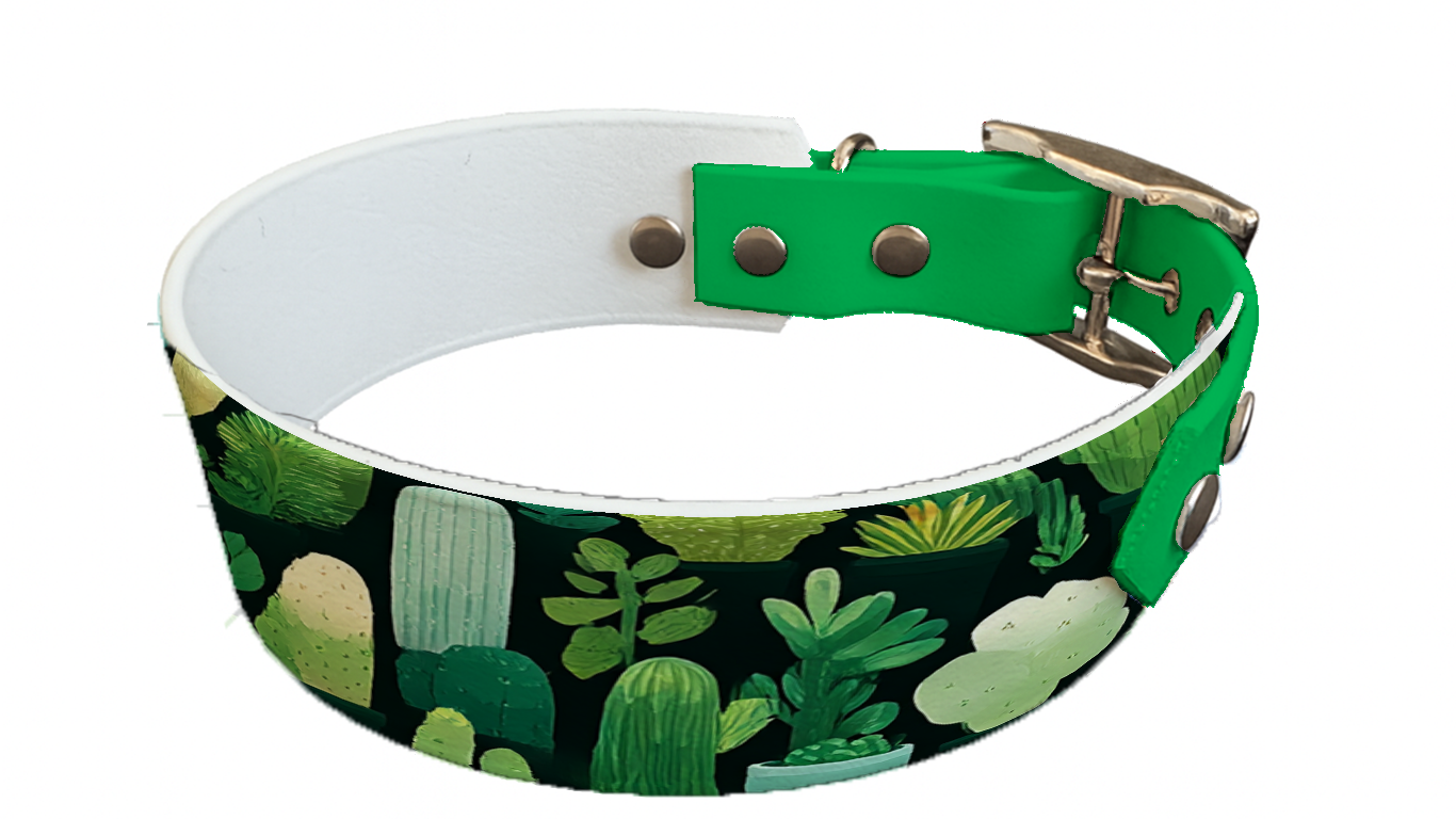 Collier bicolore large pour chien en BioThane® imprimé – Collection plantes et fleurs – 38/25 mm