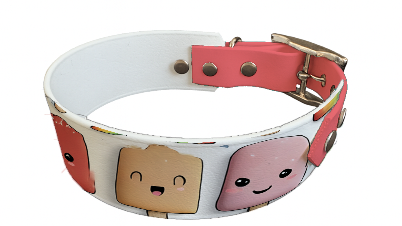 Collier bicolore large pour chien en BioThane® imprimé – Collection gourmandise – 38/25 mm