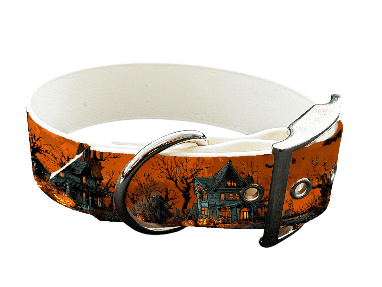Collier large pour chien en BioThane® imprimé – Collection Halloween– 38mm