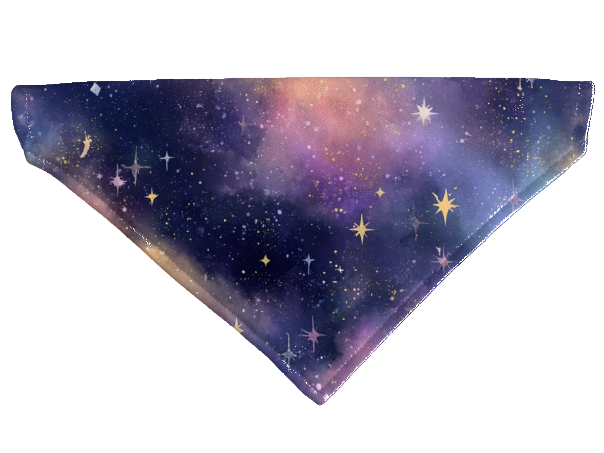 Bandana pour chien Galaxie – 4 tailles (S, M, L, XL) – Collier inclus & compatible BioThane
