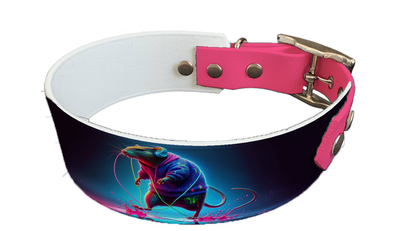Collier bicolore large pour chien en BioThane® imprimé – Collection animaux pop/kawaii – 38/25 mm