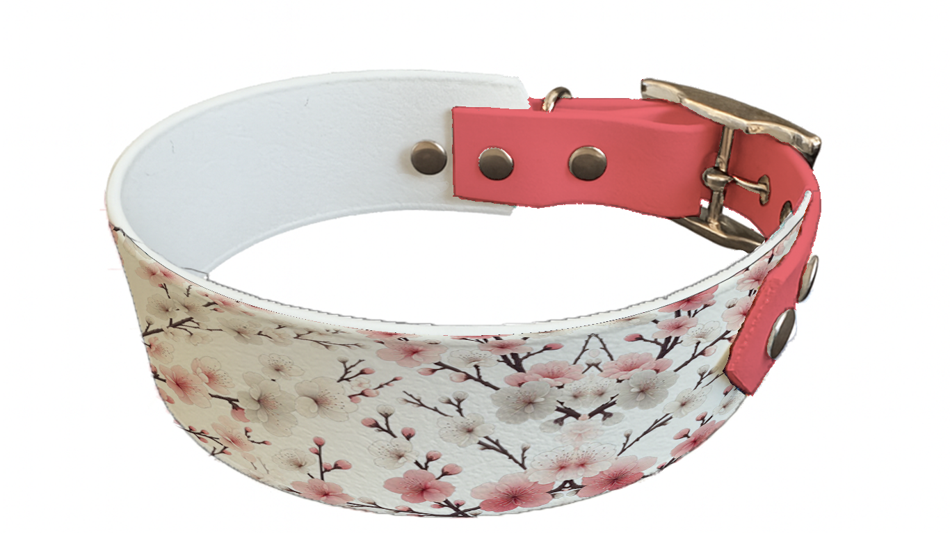 Collier bicolore large pour chien en BioThane® imprimé – Collection plantes et fleurs – 38/25 mm