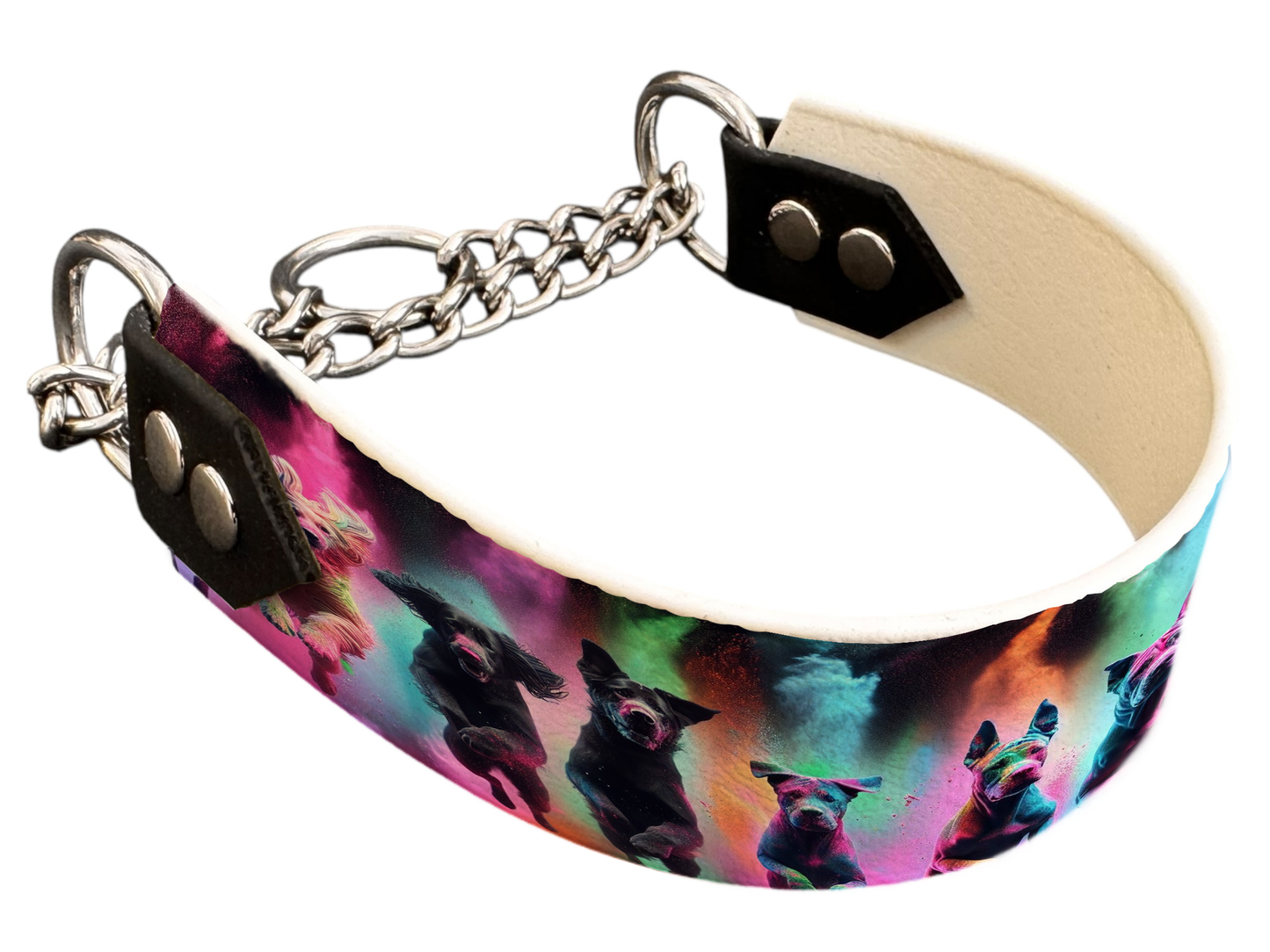 Martingale pour chien en BioThane® imprimé – Collection chiens– 38mm
