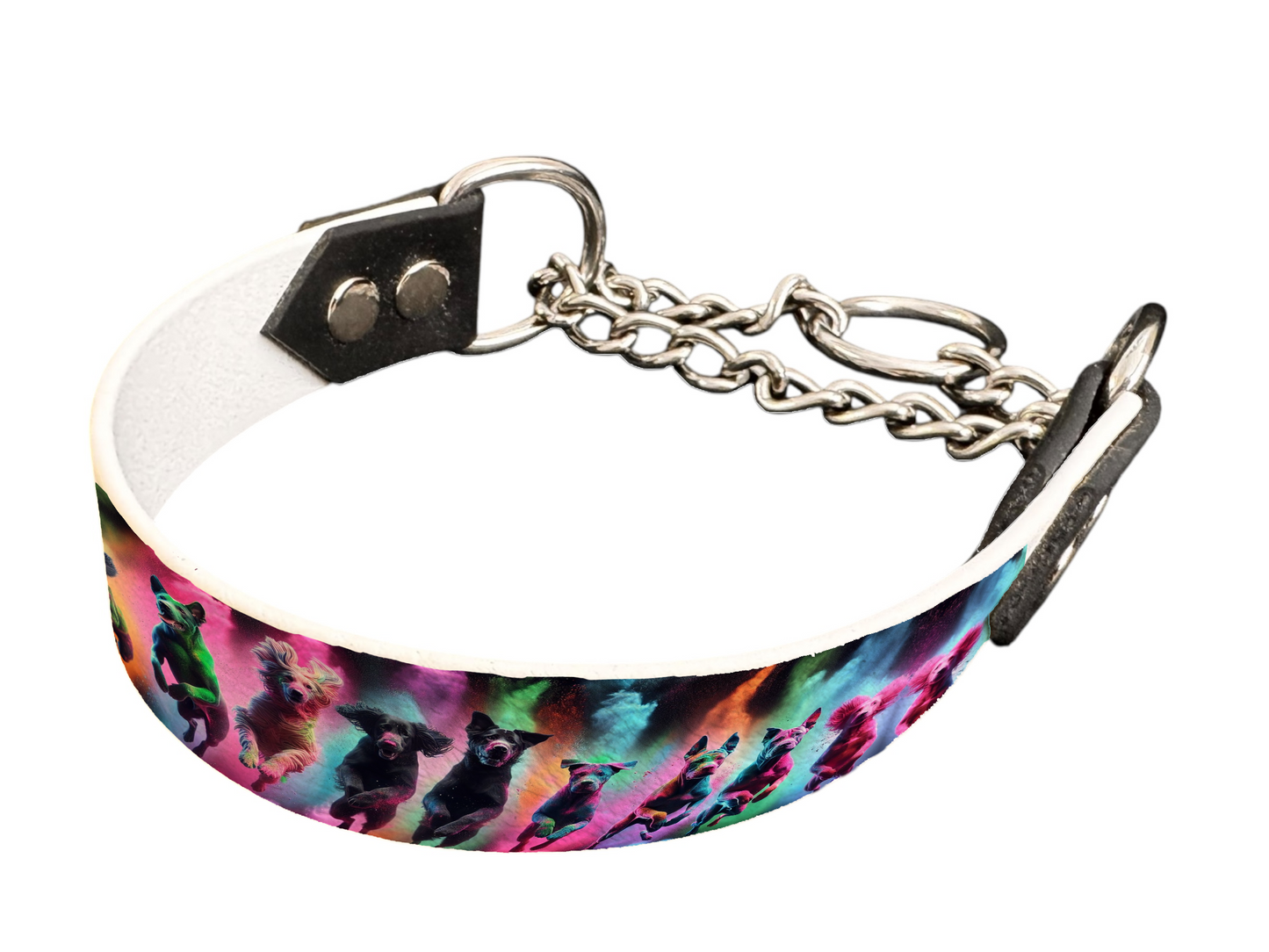 Martingale pour chien en BioThane® imprimé – Collection chiens– 25mm