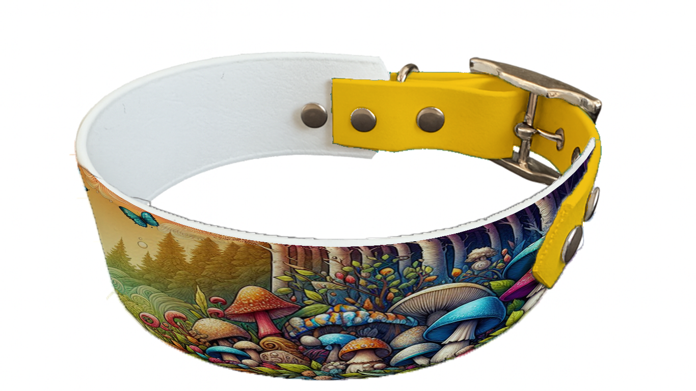 Collier bicolore large pour chien en BioThane® imprimé – Collection forêt enchantée – 38/25 mm