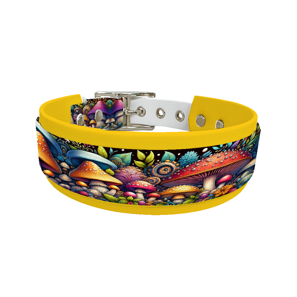 Collier double large pour chien en BioThane® imprimé – Collection forêt enchantée – 38/25 mm