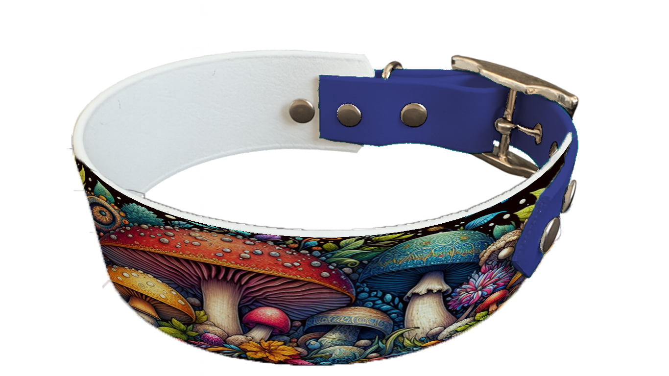 Collier bicolore large pour chien en BioThane® imprimé – Collection forêt enchantée – 38/25 mm