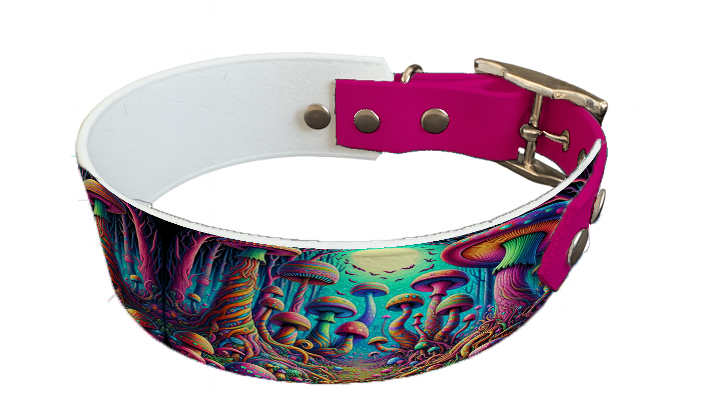 Collier bicolore large pour chien en BioThane® imprimé – Collection forêt enchantée – 38/25 mm