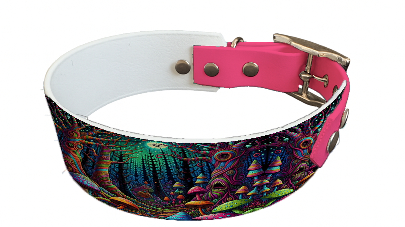 Collier bicolore large pour chien en BioThane® imprimé – Collection forêt enchantée – 38/25 mm