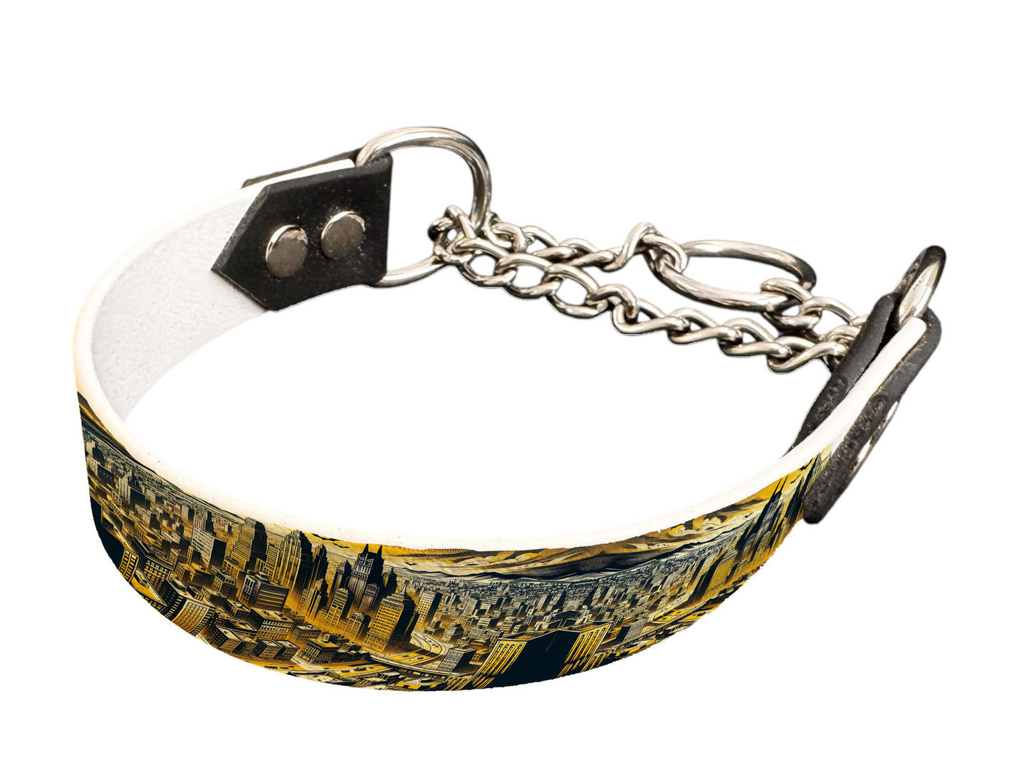 Martingale pour chien en BioThane® imprimé – Collection pop art– 25mm