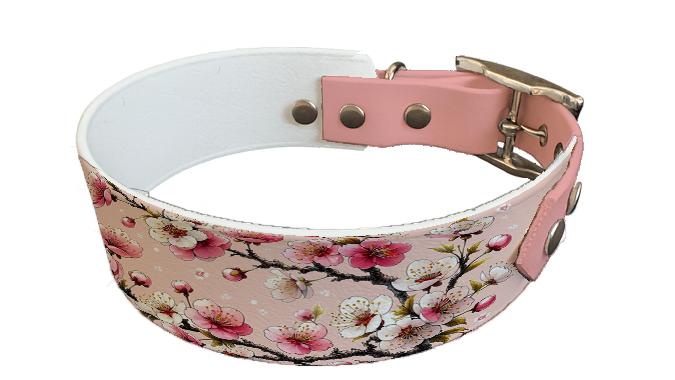 Collier bicolore large pour chien en BioThane® imprimé – Collection plantes et fleurs – 38/25 mm
