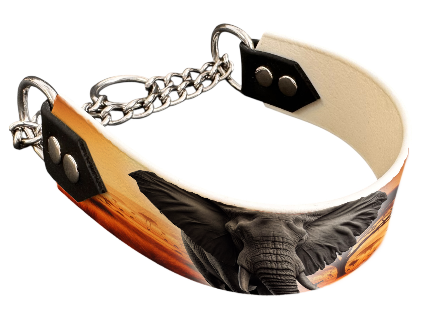 Martingale pour chien en BioThane® imprimé – Collection animaux sauvages– 38mm