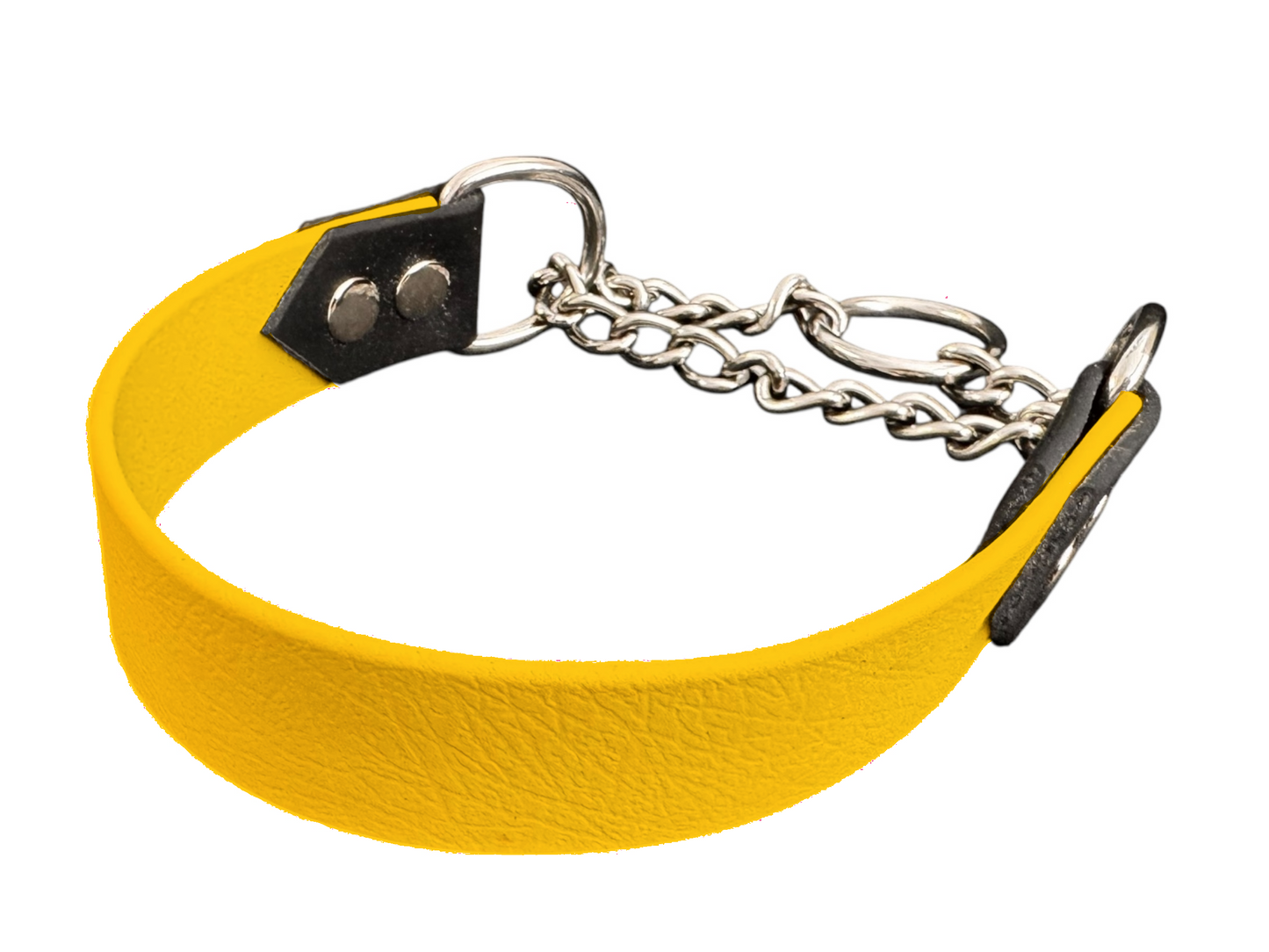 Martingale pour chien largeur 25 mm en Biothane – Personnalisable – Coloris au choix