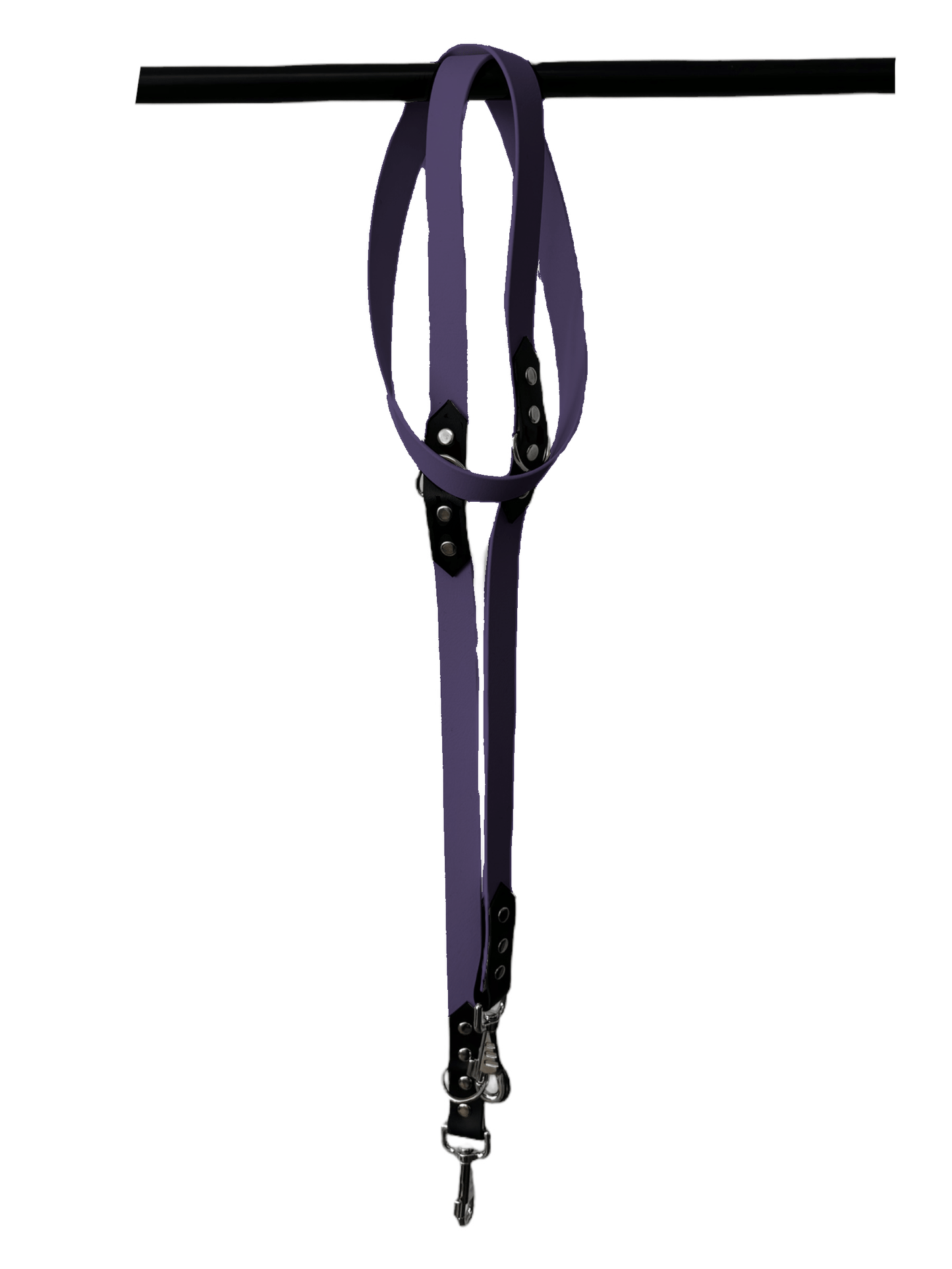 Laisse Réglable 3 Positions