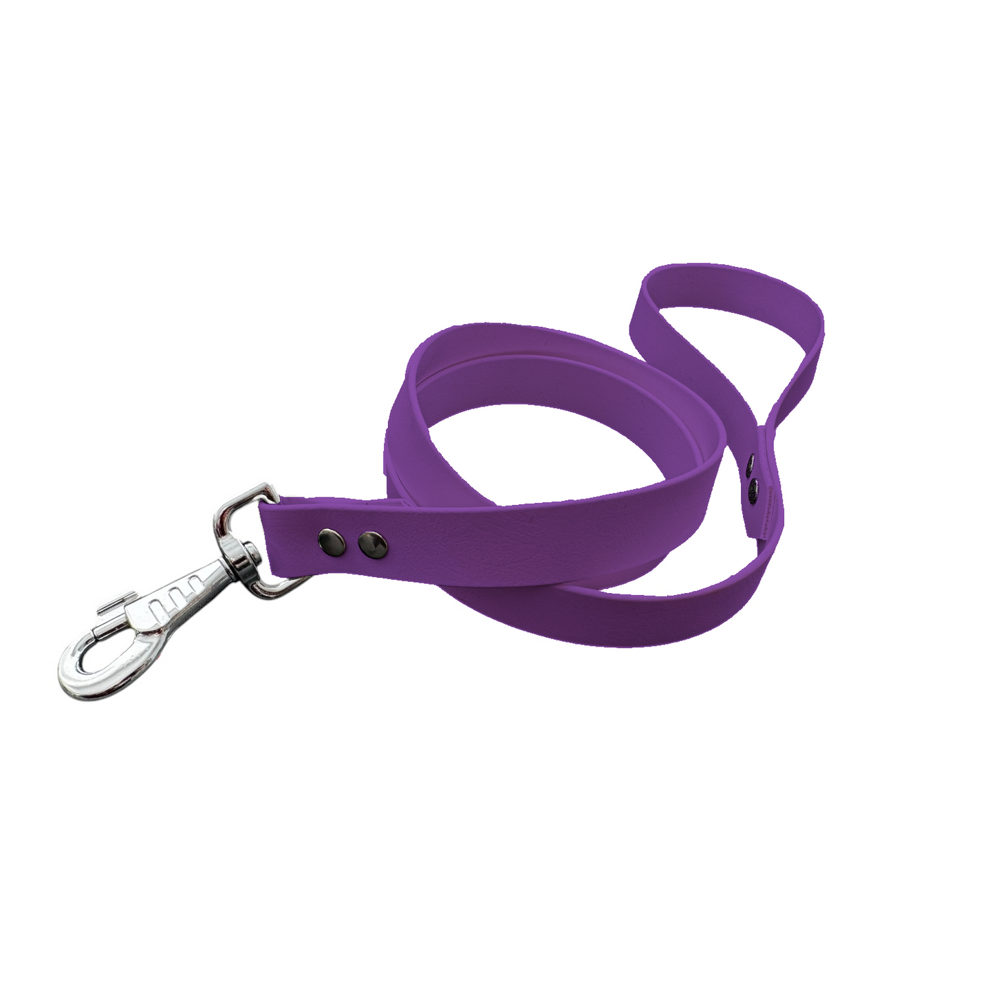 Laisse personnalisable, coloris et largeur au choix