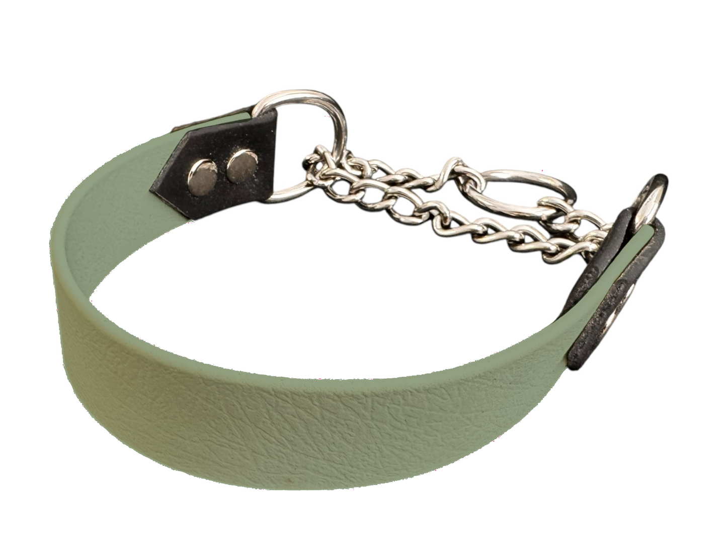 Martingale pour chien largeur 25 mm en Biothane – Personnalisable – Coloris au choix