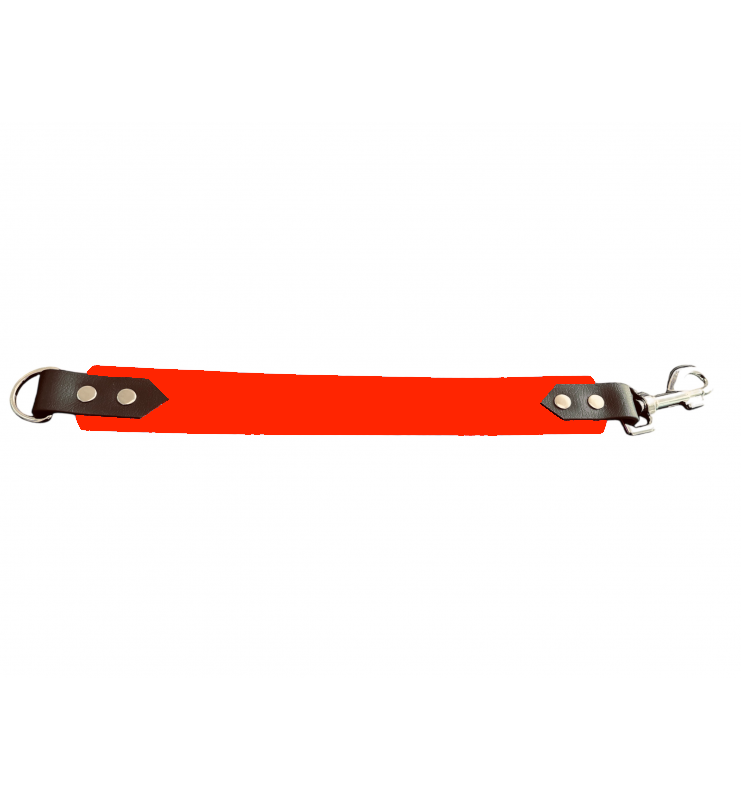 Attache laisse 38 mm en Biothane – Message personnalisable