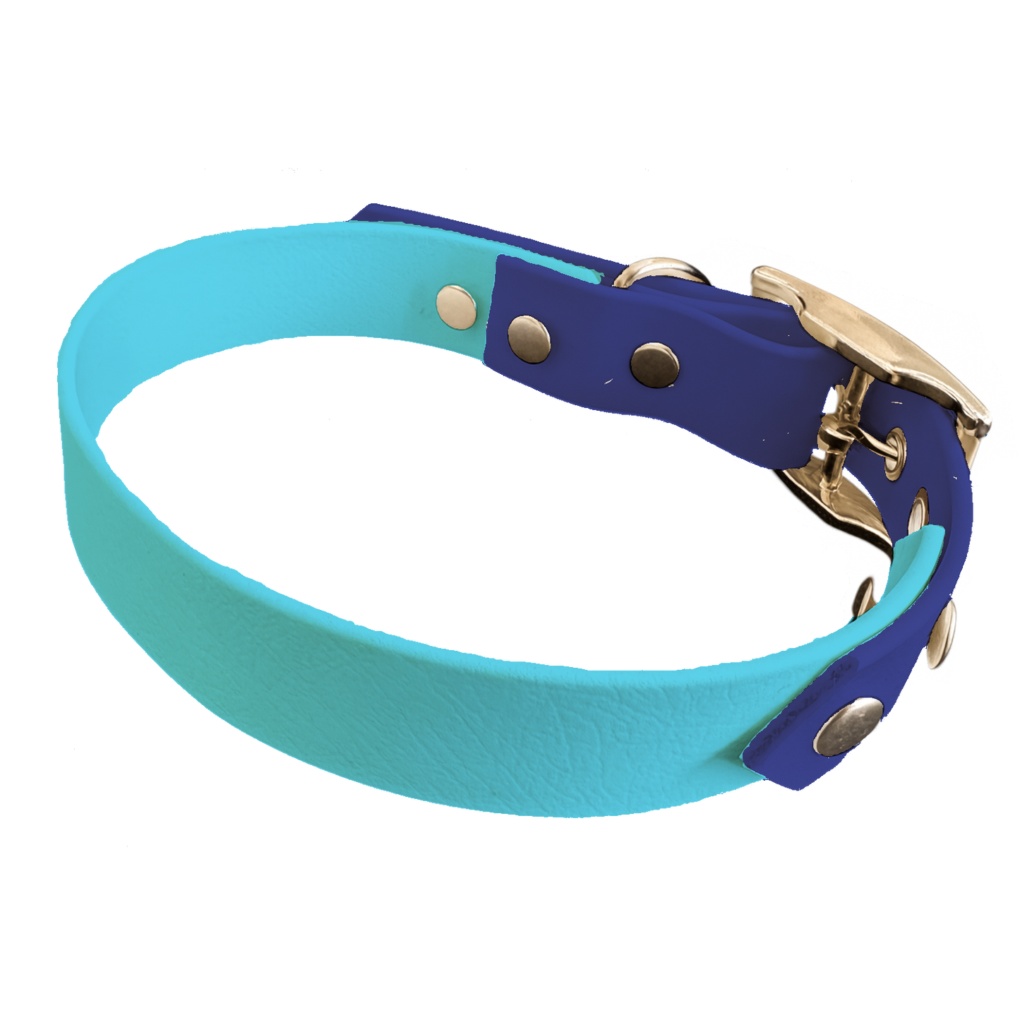 Collier Bicolore en BioThane® 19 mm – coloris personnalisable