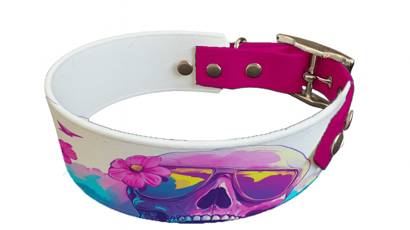 L'atelier du Fourmilier collier bicolore 205 Collier bicolore large pour chien en BioThane® imprimé – Collection tête de mort– 38/25 mm