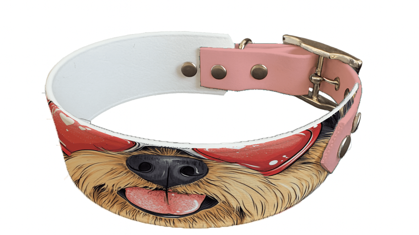 L'atelier du Fourmilier collier bicolore 254 Collier bicolore large pour chien en BioThane® imprimé – Collection chiens– 38/25 mm