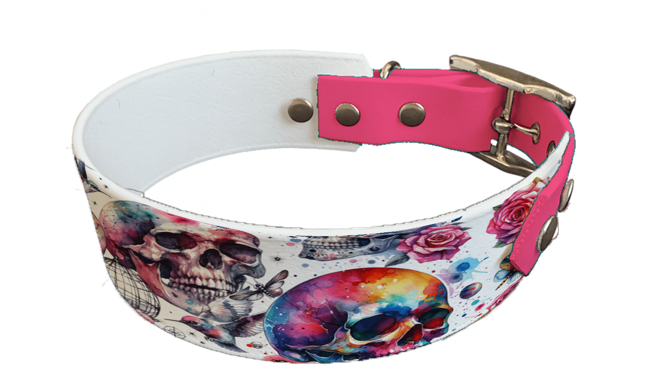 L'atelier du Fourmilier collier bicolore 46 Collier bicolore large pour chien en BioThane® imprimé – Collection tête de mort– 38/25 mm