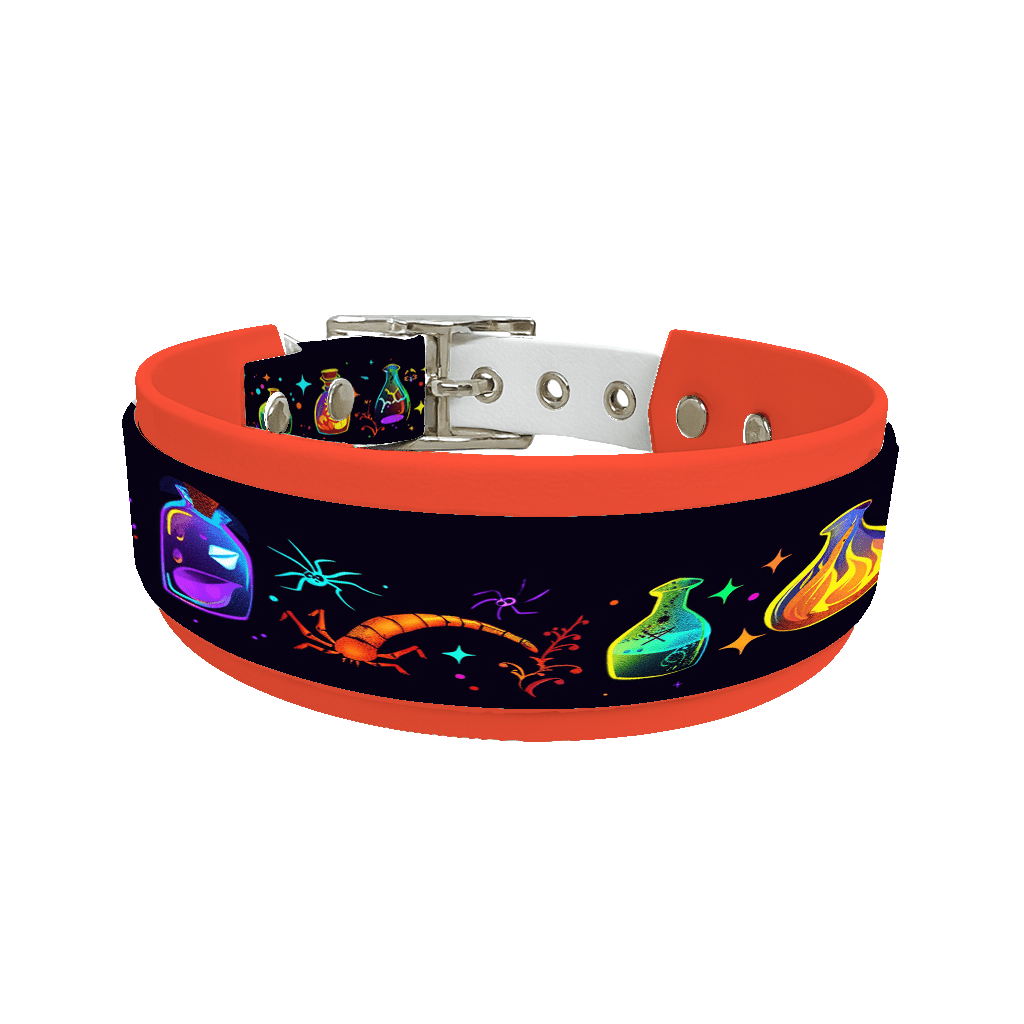 L'atelier du Fourmilier collier double 277 Collier double large pour chien en BioThane® imprimé – Collection Halloween– 38/25 mm