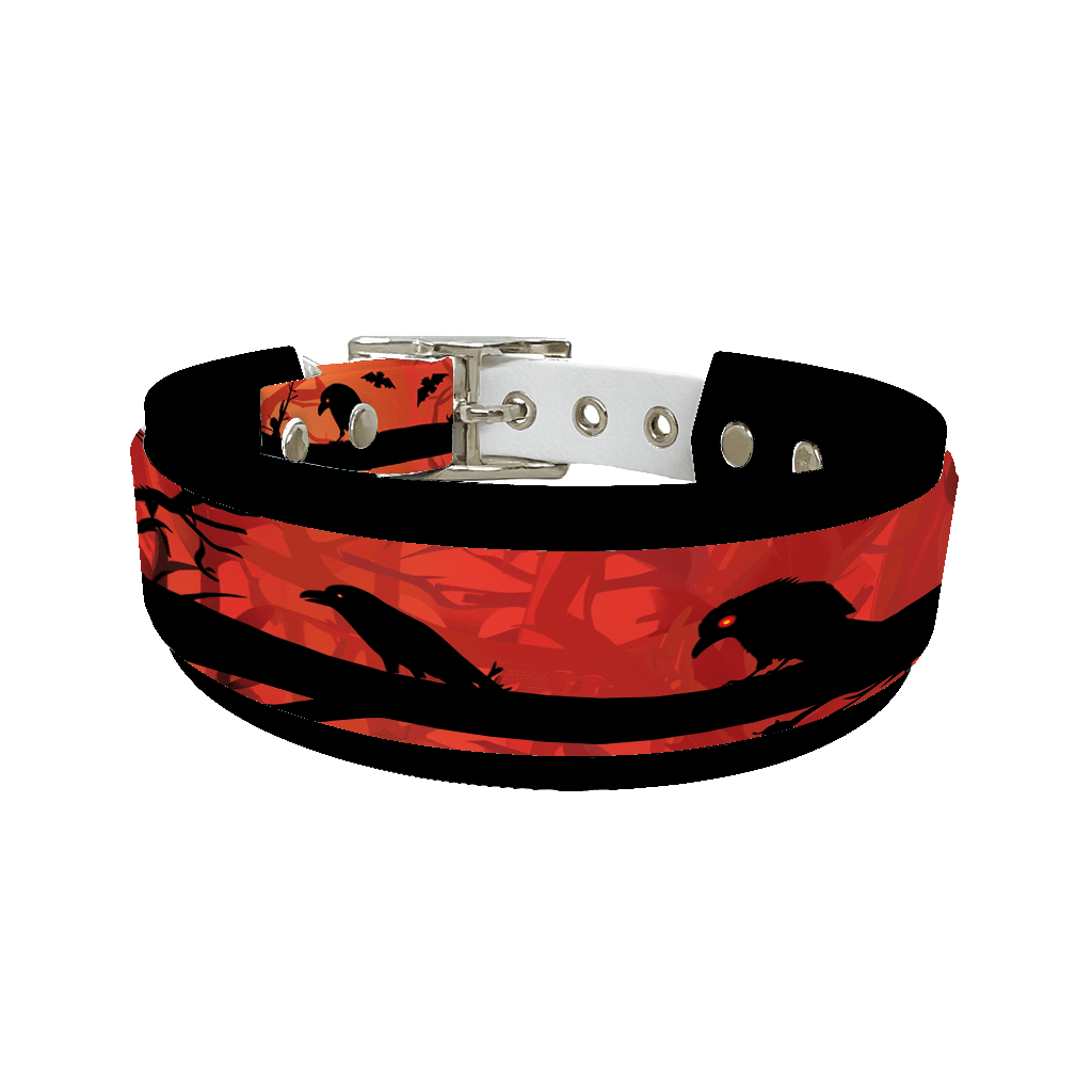 L'atelier du Fourmilier collier double 280 Collier double large pour chien en BioThane® imprimé – Collection Halloween– 38/25 mm