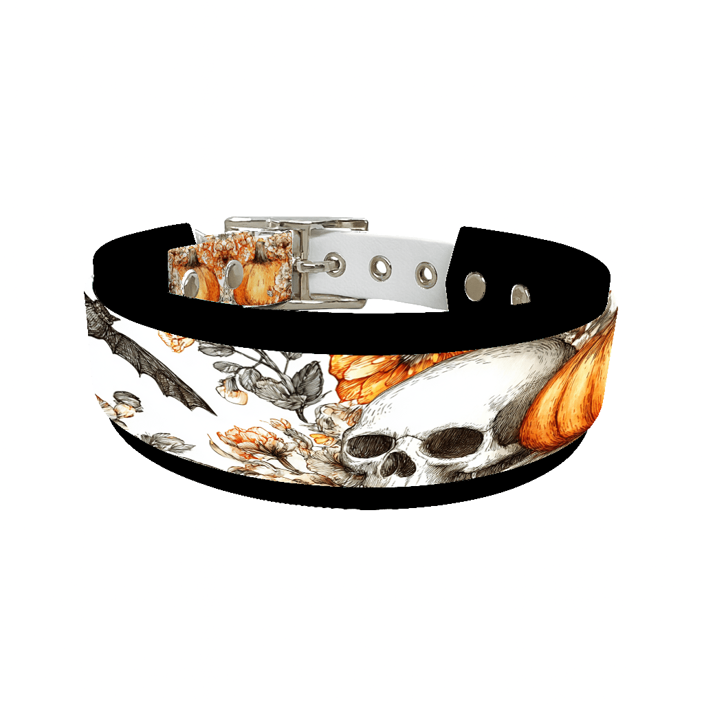 L'atelier du Fourmilier collier double 282 Collier double large pour chien en BioThane® imprimé – Collection Halloween– 38/25 mm